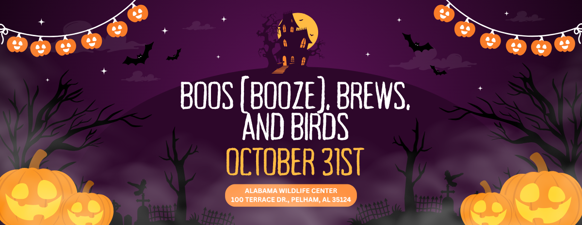 Boos (Booze), Brews, & Birds 2025